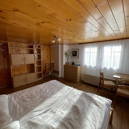 Moritzhaus Διαμέρισμα Grächen